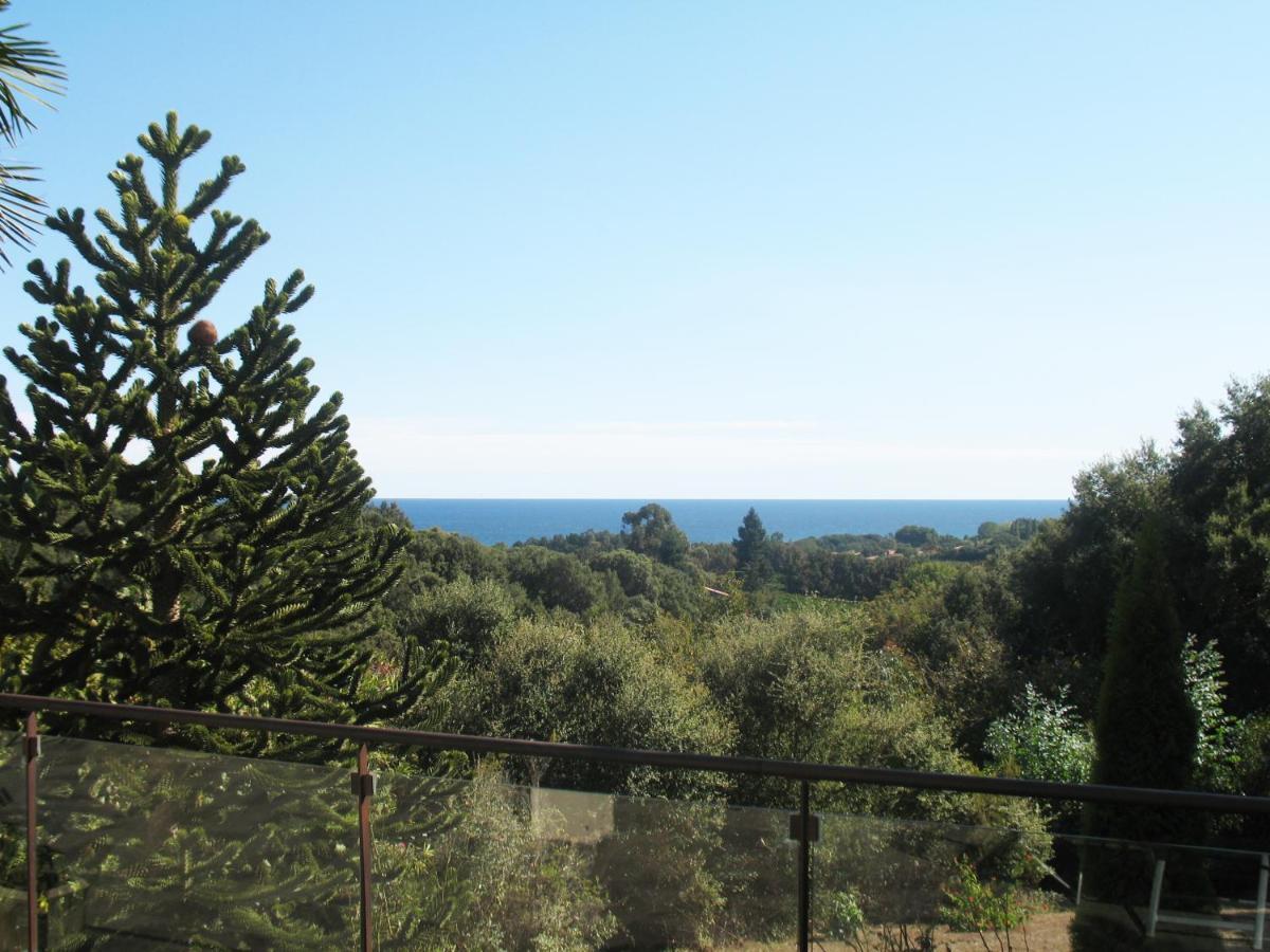 Villa Angelini Valle-di-Campoloro Extérieur photo